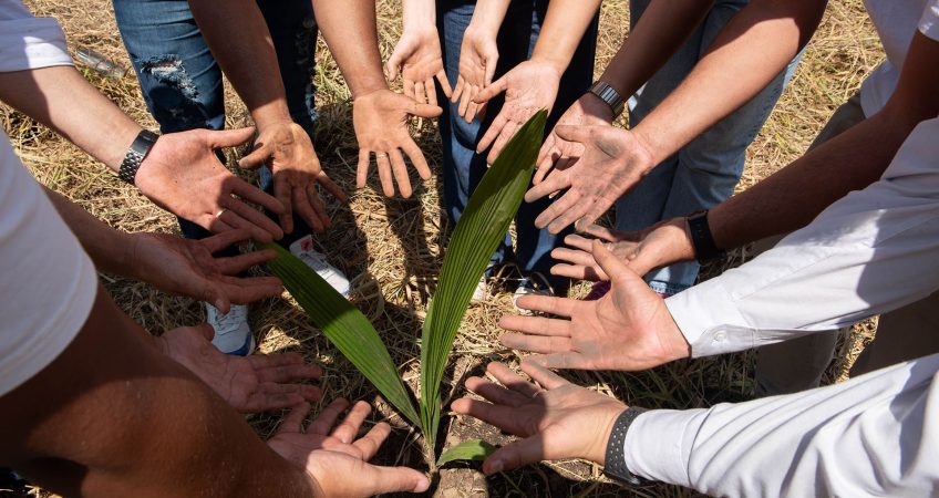 Sustentabilidade em pauta: Ornare participa de ação de plantio de árvores  